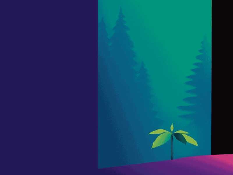 The Art of&nbsp;Connection